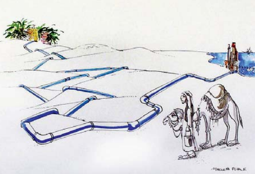 camello Reflexiones sobre el Turismo en el proceso de Río+20