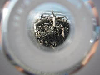 OLAS FURIOSAS OLAS FURIOSAS