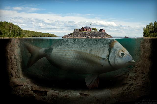 Vivimos sobre tierra firme… ¿seguro?