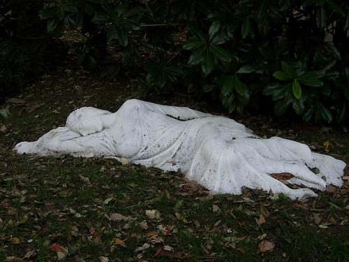 Amor al oído Asleep in the garden