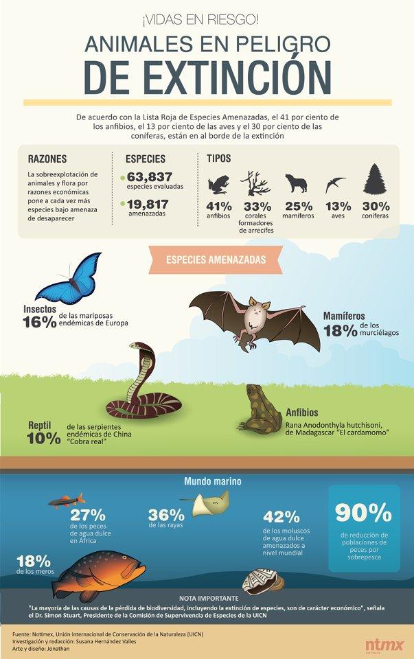 infografía, infografías, animales peligro extinción, especies peligro extinción, que animales están en peligro de extinción, razones desaparición animales