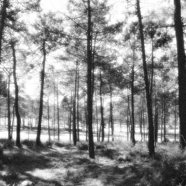 imagens-bin_imagem_jpg_0122556001299063075-725 Lo común: 2º día del Congreso