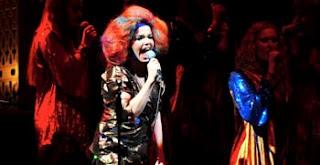 bjork bjork ecologica