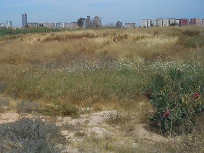 42ª maac-chorrada - Divagando sobre Tristán e Isolda 42ª maac-chorrada - Divagando sobre Tristán e Isolda