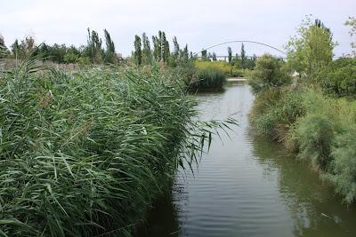 42ª maac-chorrada - Divagando sobre Tristán e Isolda 42ª maac-chorrada - Divagando sobre Tristán e Isolda
