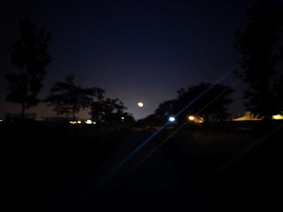 42ª maac-chorrada - Divagando sobre Tristán e Isolda 42ª maac-chorrada - Divagando sobre Tristán e Isolda