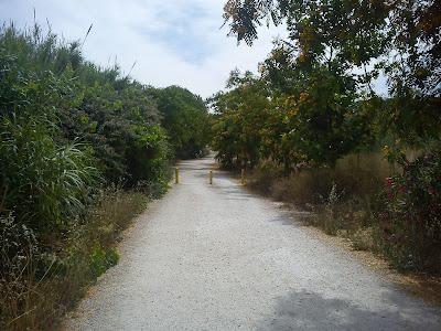 42ª maac-chorrada - Divagando sobre Tristán e Isolda 42ª maac-chorrada - Divagando sobre Tristán e Isolda