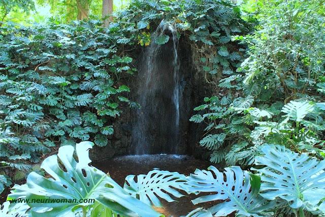 Marqueses por una noche en el Jardín Botánico de Málaga. Marqueses por una noche en el Jardín Botánico de Málaga.