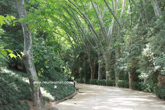 Marqueses por una noche en el Jardín Botánico de Málaga. Marqueses por una noche en el Jardín Botánico de Málaga.