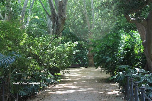 Marqueses por una noche en el Jardín Botánico de Málaga. Marqueses por una noche en el Jardín Botánico de Málaga.