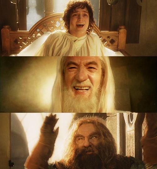  30 days of Lord of the Rings. Day 17→ A scene that makes you cringe. #ok this scene is supposed to be bittersweet and happy and all but there was NO NEED to sit there and guffaw at each other for half an hour i mean help i’m drowning in cheese. #it’s like frodo wakes up and gandalf’s standing there and frodo’s like ‘gaaandaaaalf?’ and gandalf’s like ‘HO HO HO’ and frodo’s like ‘HEE HEE HEE’ and they continue that for 2 minutes and then merry and pippin come in and jump on poor frodo’s bed i mean isn’t he injured that would kind of hurt but all the meanwhile gandalf’s still there like ‘HO HO HO’ while merry and pippin beat up poor injured frodo and then gimli comes in and i mean look at gimli he just goes insane at the sight of frodo and goes ‘WAY-HAY-HAY HO HO HA ZIPPA-DEE-DOO-DAH’ and throws his hands up in celebration and then legolas comes in and does nothing because he’s an elf and frodo doesn’t seem to remember who he is and gandalf’s still like ‘HO HO HO’ and then aragorn comes in with this creepy/sexy smile that makes him look like he’s about to rape frodo right there and then sam comes in and finally there’s a sane moment but meanwhile your eyes have already started to bleed and you’ve started to wonder if this long journey has messed with their minds or WHAT 