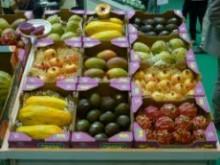 Sabores del Sur. Granada: Frutas tropicales