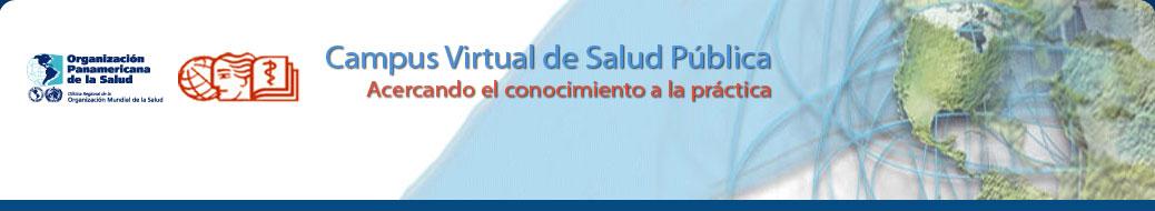 Curso Virtual de Diseño y Gestion de Conjuntos de Prestaciones de Salud Curso Virtual de Diseño y Gestion de Conjuntos de Prestaciones de Salud