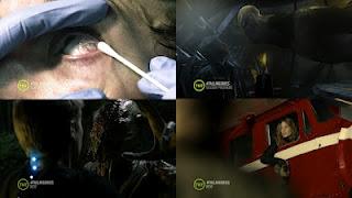 Los lazos con los skitter Los lazos con los skitter