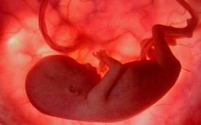 La testosterona podría influir en el desarrollo del lenguaje La testosterona podría influir en el desarrollo del lenguaje