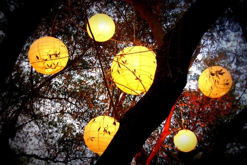 Al Natural Al Natural