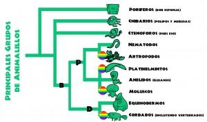 Biodiversidad y sexualidad