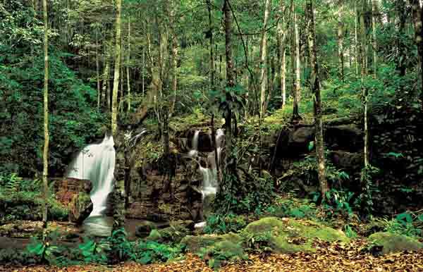 Amazonas. ©Embratur. Amazonas, un ejemplo de preservación.