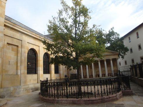 Roble de gernika Guernica (Vizcaya)