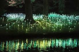 Jardín de Flores LED, Bruce Munro