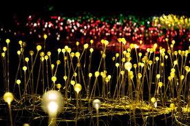 Jardín de Flores LED, Bruce Munro