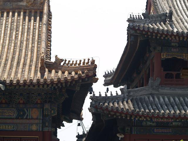 Sensaciones al regreso de China Sensaciones al regreso de China