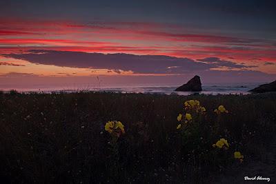 Reflejos en la arena Reflejos en la arena