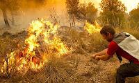 ¿Quién quema el monte valenciano?