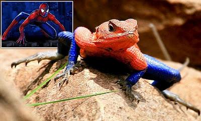 Spiderman, es real, existe