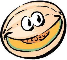 m1 m145 Melón de Villaconejos, un campeón del verano!!!