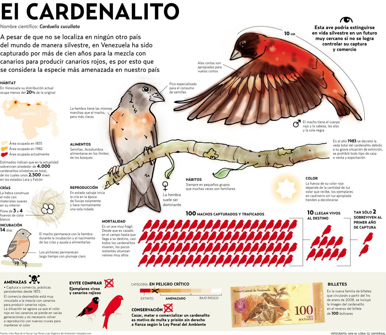 Lista de la fauna Venezolana en peligro crítico de extinción.
