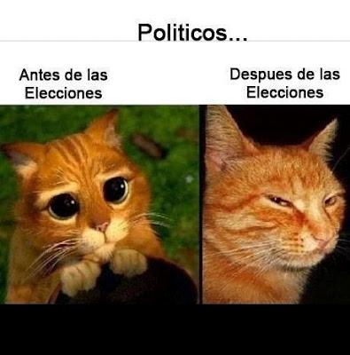Los candidatos al más puro humor mexicano Los candidatos al más puro humor mexicano