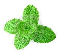 SECCION DE LOS LUNES: Mascarillas caseras (Especial Pieles Normales) SECCION DE LOS LUNES: Mascarillas caseras (Especial Pieles Normales)