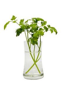 SECCION DE LOS LUNES: Mascarillas caseras (Especial Pieles Normales) SECCION DE LOS LUNES: Mascarillas caseras (Especial Pieles Normales)