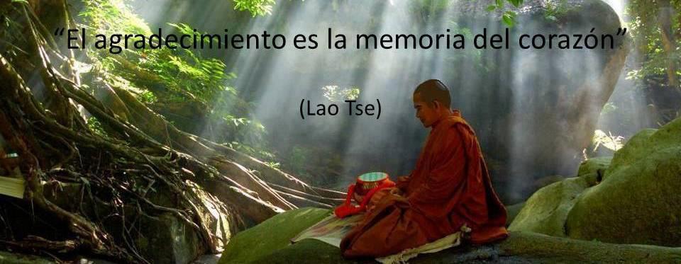 Devoción & Llama Devoción & Llama