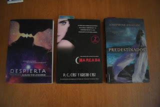 IMM Blog -1- Light IMM Blog -1- Light