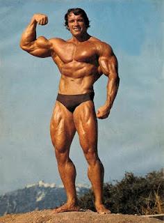 ARNOLD SCHWARZENEGGER HA VUELTO