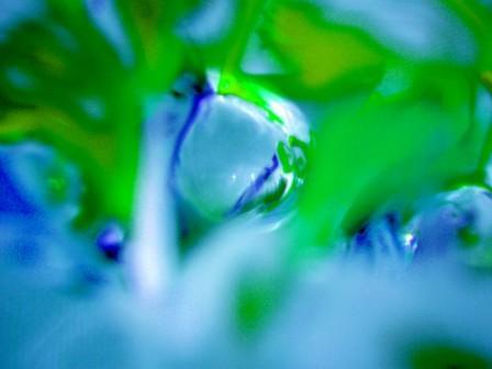 Creencias limitadoras Creencias limitadoras