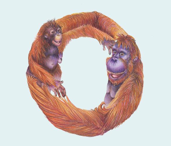 Alfabeto Animal por Casey Girard Alfabeto Animal por Casey Girard