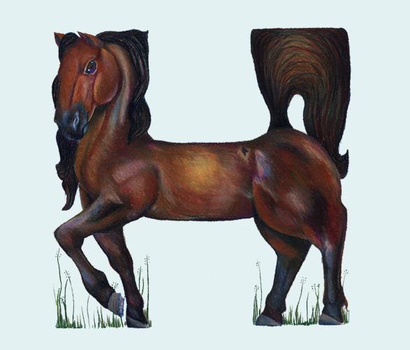 Alfabeto Animal por Casey Girard Alfabeto Animal por Casey Girard