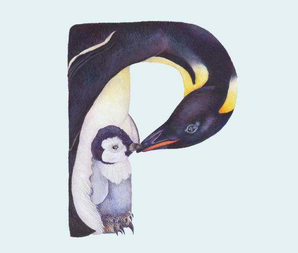 Alfabeto Animal por Casey Girard Alfabeto Animal por Casey Girard