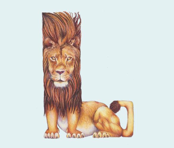 Alfabeto Animal por Casey Girard Alfabeto Animal por Casey Girard