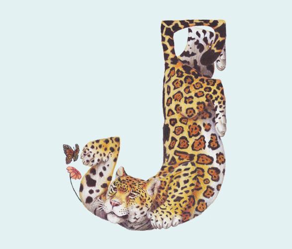 Alfabeto Animal por Casey Girard Alfabeto Animal por Casey Girard