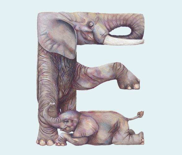 Alfabeto Animal por Casey Girard Alfabeto Animal por Casey Girard