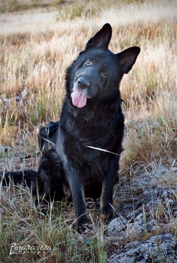 JANA VELA: LA MAGA CAPAZ DE ETERNIZAR UN INSTANTE JANA VELA: LA MAGA CAPAZ DE ETERNIZAR UN INSTANTE