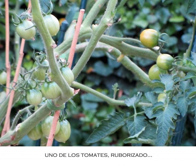 rubor Hoy ha nevado…