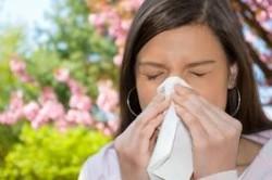 alergias_y_asma Las similitudes y diferencias entre el asma y la alergia (Parte II)