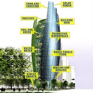 CIUDADES COMPORTÁNDOSE COMO BOSQUES CIUDADES COMPORTÁNDOSE COMO BOSQUES