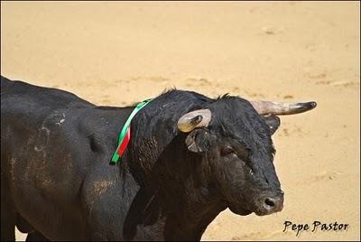 No al fraude de los señoritos a caballo No al fraude de los señoritos a caballo
