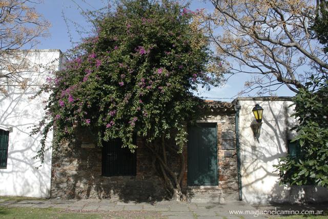 casaconflores Colonia: un lugar al que volvería mil veces